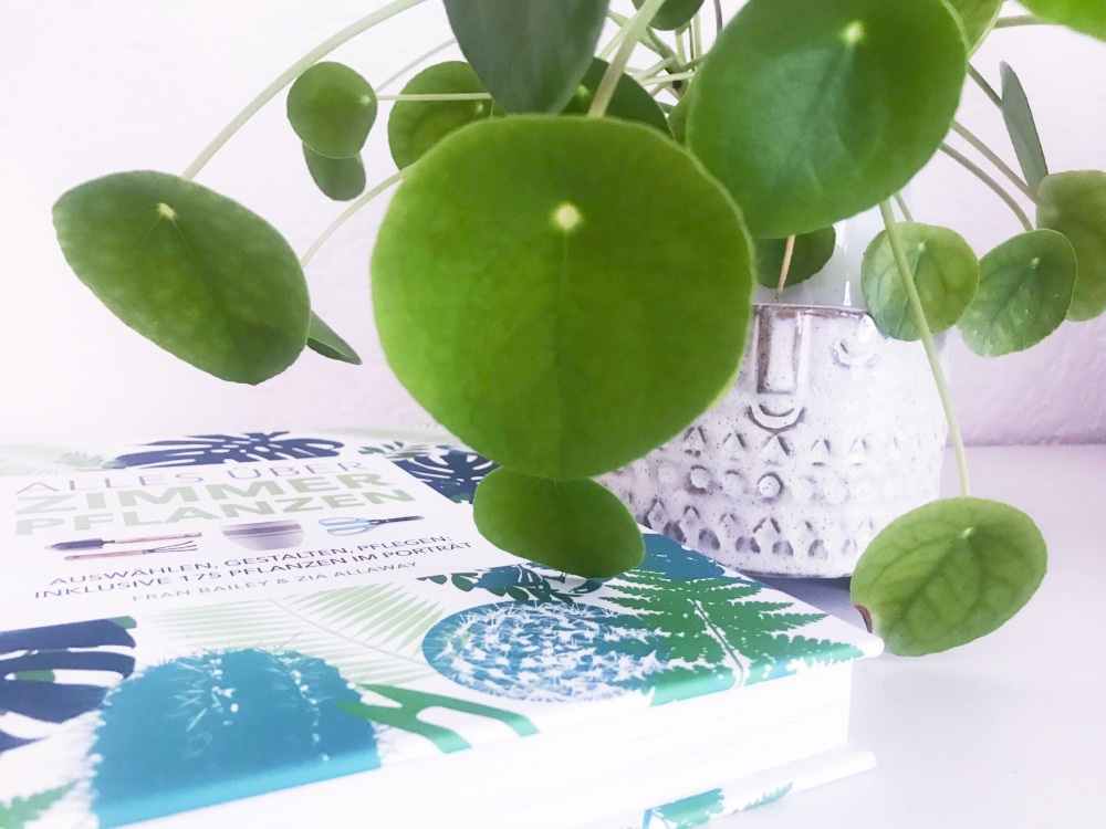 Bücherliebe im August – Alles über Zimmerpflanzen