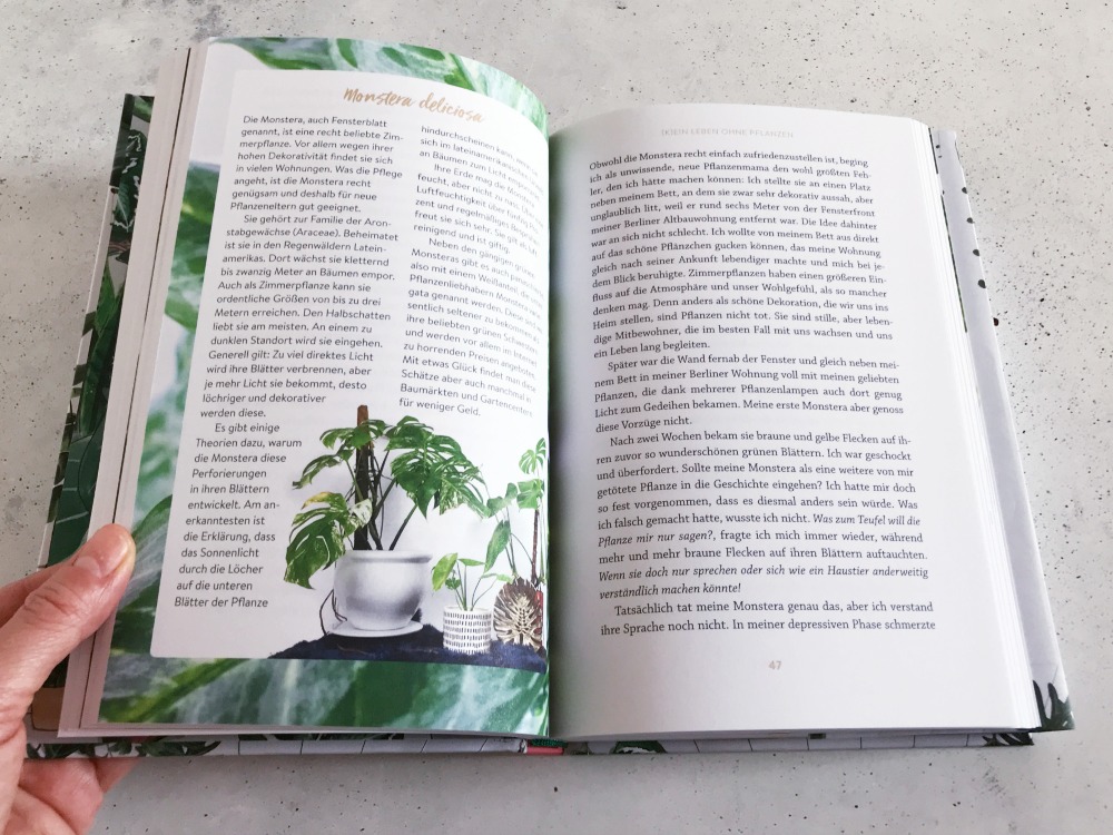 Bücherliebe im Januar – Aufblühen: Wie Zimmerpflanzen uns helfen, gesund zu bleiben