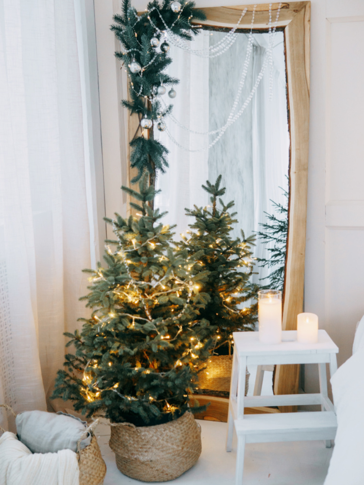 Lichterkette Richtig Anbringen: So Geht Es