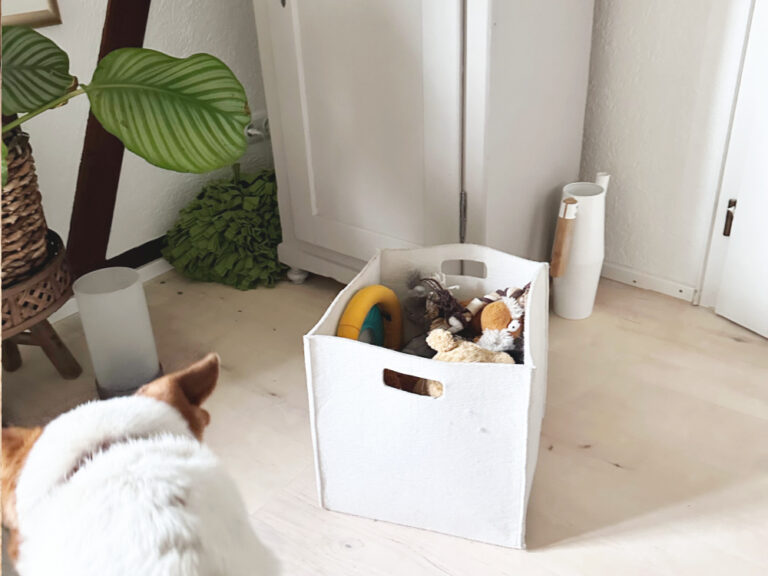 Hundesachen organisieren für einen stressfreien Alltag